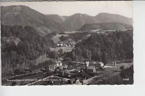 A 3341 OPPONITZ mit Bauernboden
