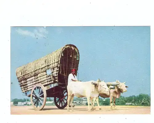 SRI LANKA / CEYLON - COLOMBO, Bullock Card, 1970
