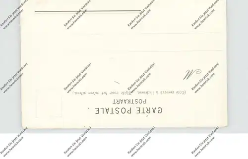 B 2000 ANTWERPEN, Onze-Lieve-Vrouwekathedraal, duitse kaart Blümlein & Cie, ca. 1905