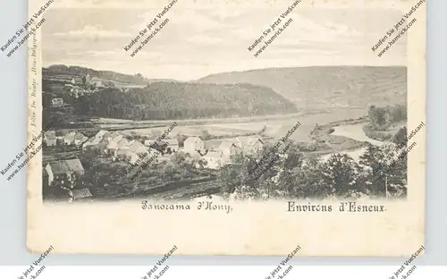 B 4130 ESNEUX - HONY, Panorama, ca. 1900, Ed. De Ruyter, hergestellt bei Bernhoeft - Luxemburg