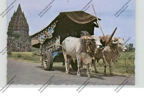 INDONESIA - Temple Candi Prambanan, Cow cart