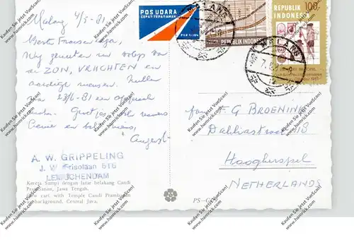 INDONESIA - Temple Candi Prambanan, Cow cart