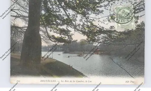 B 1000 BRUSSEL, Ter Kamerenbos / Le Bois de la Cambre, Le Lac, 1907
