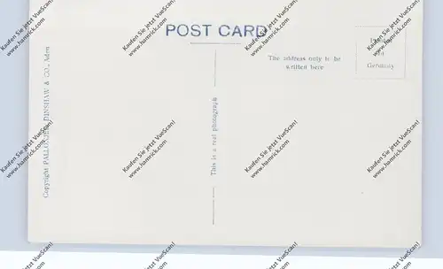 YEMEN - ADEN, Camels