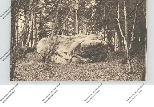 4731 RAEREN, Zyklopensteine im Augustiner Wald