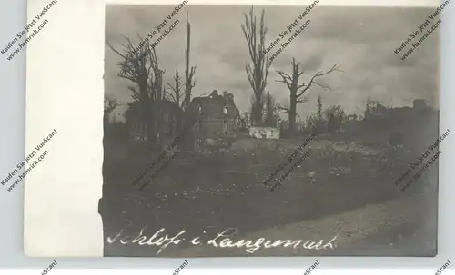 B 8920 LANGEMARK - POELKAPELLE, 1.Weltkrieg, zerstörtes Schloß Langemark, Photo-AK