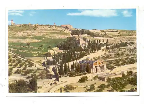ISRAEL - JERUSALEM. Ölberg, Garten Gethsemane, Uvachrom # 6042, 1934