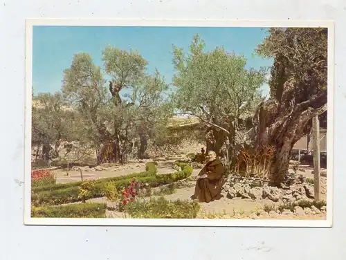 ISRAEL - JERUSALEM. Garten Gethsemane, Uvachrom # 6044, 1934