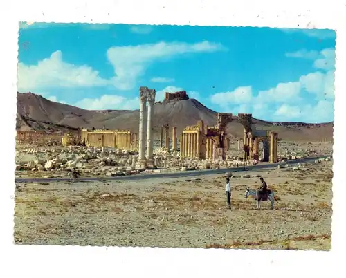 SYRIA - PALMYRA, Great Colonnade