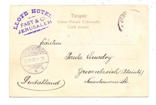 PALESTINA - Bedouines 1902