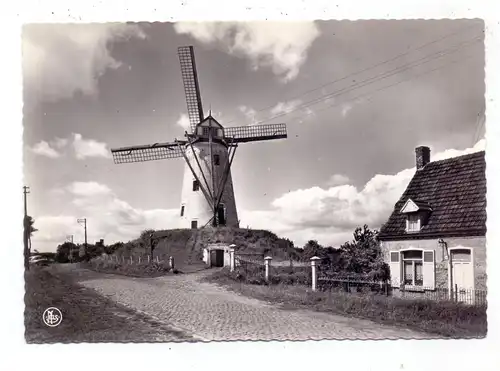 B 8340 DAMME, De Molen