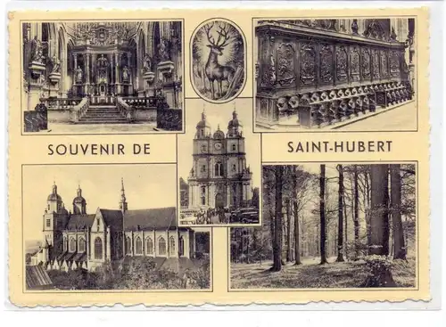 B 6870 SAINT HUBERT, multi view