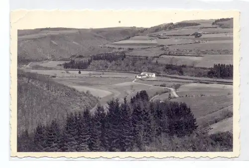 B 4790 BURG - REULAND - OUREN, Dreiländertal