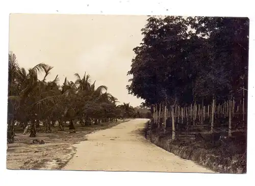 SINGAPORE / SINGAPUR, Plantage, photo-pc.