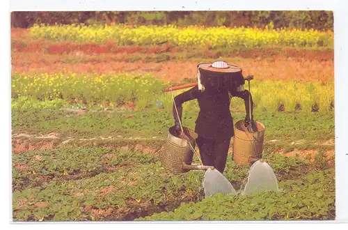 HONGKONG - New Territories, Vegetable Farmer at Hop Tau Chuen Valley