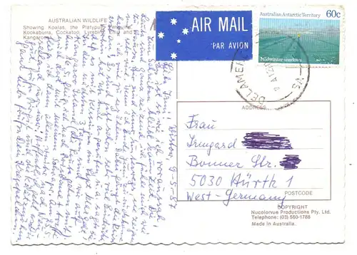 AUSTRALIA - Australian Wildlife