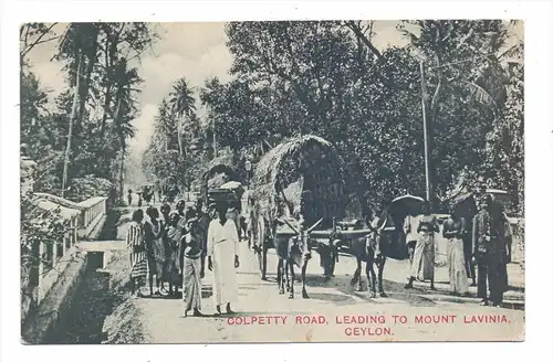SRI LANKA / CEYLON - Colpetty Road, leading to Mount Lavinia, 1906