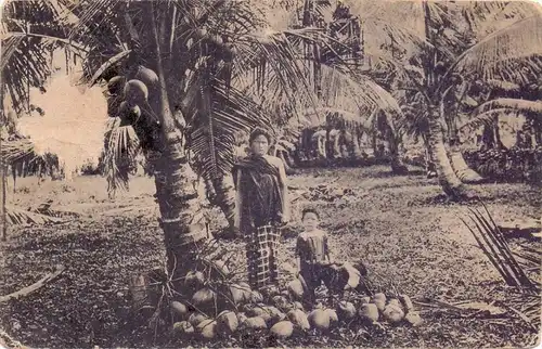 INDONESIA / INDONESIEN - SABANG, Atjehsche vrouw, Coconuts