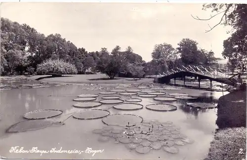 INDONESIA / INDONESIEN - BOGOR / BUITENZORG, Kebon Raspa