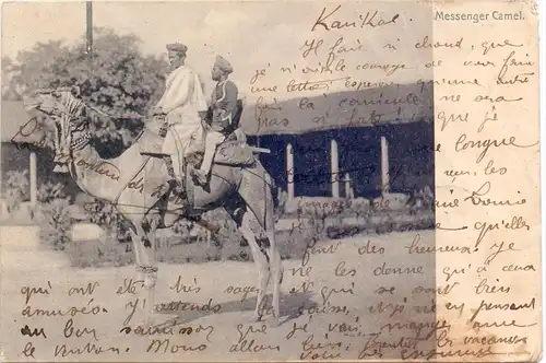 INDIA / INDIEN - Messenger Camel, 1907, Druckstelle / AF