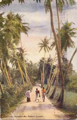 SRI LANKA / CEYLON, Among the Palms, Postmark wrong direction