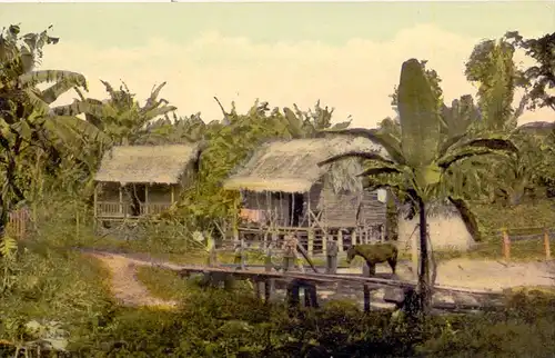 CHINA - Chinese farm