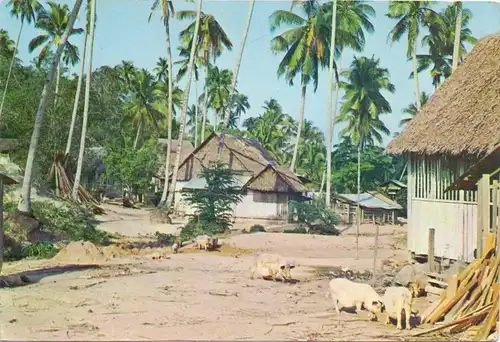 SINGAPORE - Rural Aerea Pic Farm