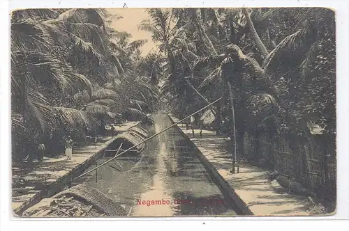 SRI LANKA / CEYLON -NEGAMBO, Canal