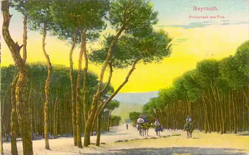 LIBANON - BEYROUTH, Promenade de Pins, 1918