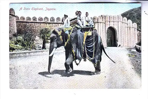 INDIA / INDIEN, JEYPORE - JAIPUR, A State Elephant