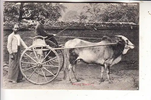 CEYLON / SRI LANKA, Racing Hackery