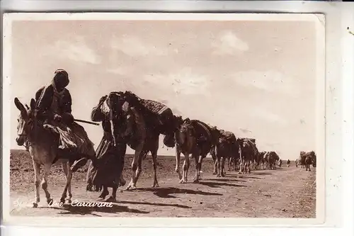 SYRIA / SYRIEN - Une Caravane