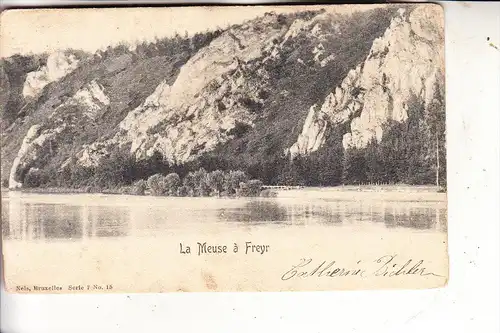 B 5500 DINANT, La Meuse 'a Freyr, NELS Serie 7 Nr.15, 1908