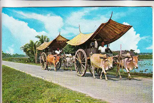 SINGAPORE / SINGAPUR, Bullock-Cart, 1965