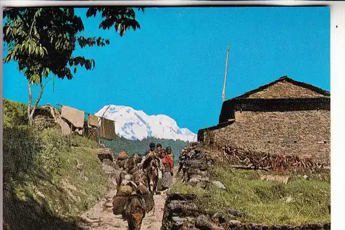 NEPAL - Annapura Range, 1993