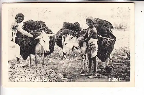 INDIA / INDIEN, Cowdung Sellers, Kuhmist Verkäufer