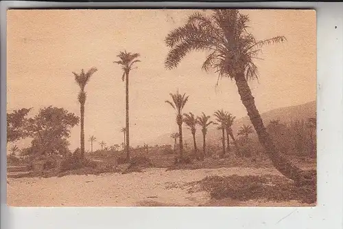 ISRAEL, HAIFA, River Kishon, Palm trees, 1921, No. 30