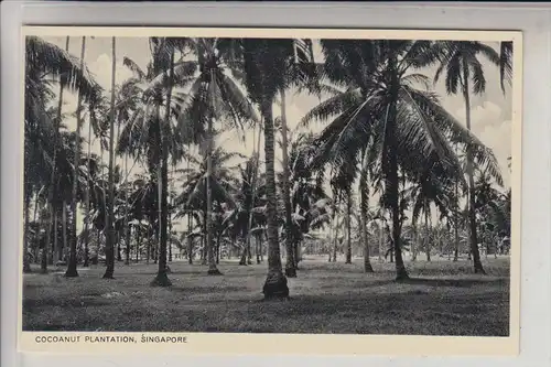 SINGAPORE - SINGAPUR, Cocoanut Plantation