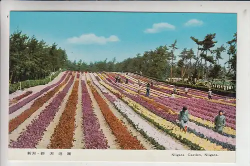 JAPAN - NIIGATA, Niigata Garden