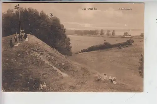 DK 8722 HEDENSTED - JUELSMINDE, Odelsbjerget