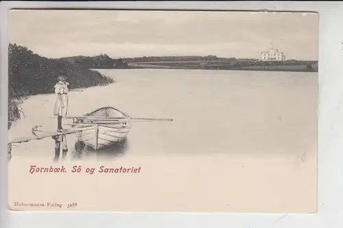 DK 3000 HELSINOR - HORNBAEK, Sö og Sanatoriet, early card undivided back