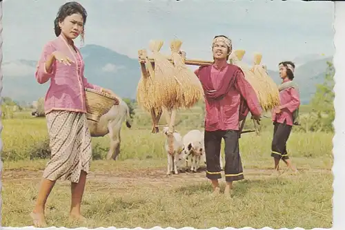 INDONESIEN - Gondang dance - West-Java