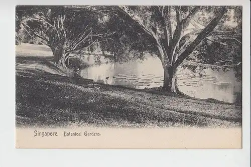 SINGAPORE - SINGAPUR, Botanical Gardens