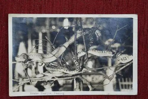 MALAYSIA - PENANG - Snake Temple, Schlangentempel, Singapore postmark