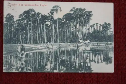 CL - SRI LANKA - CEYLON, Dhoby Pond Drincomallee