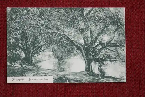 SINGAPORE - SINGAPUR, Botanical Gardens