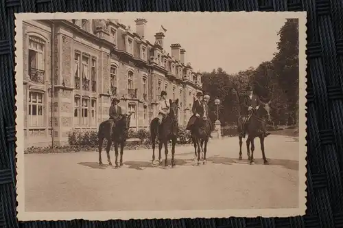 B 5569 HOUYET - Chateau d'Ardenne, Equitation - Pferdedressur