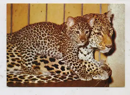 1000 BERLIN - TIERGARTEN, Zoo, Leopardenmutter & Kind