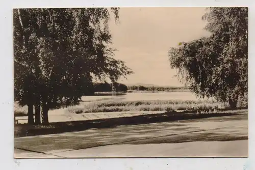 0-1241 BERKENBRÜCK, Am Dehmsee, 1964