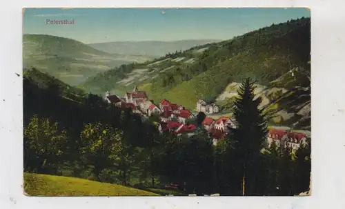 7605 BAD PETERSTAL - GRIESBACH,, Blick über Petersthal, 1914